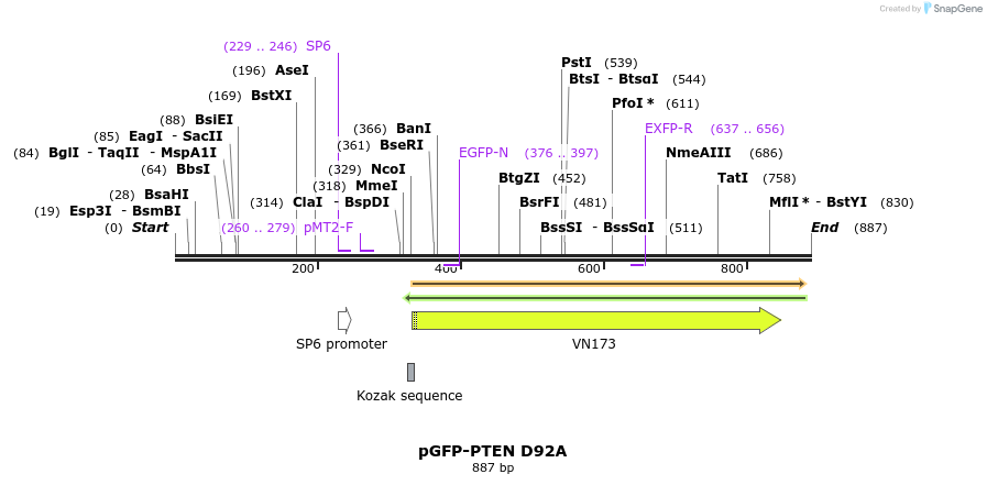 79131_map
