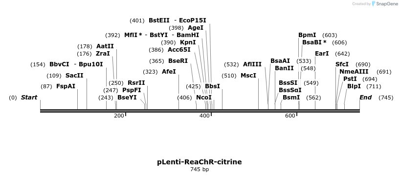 79133_map