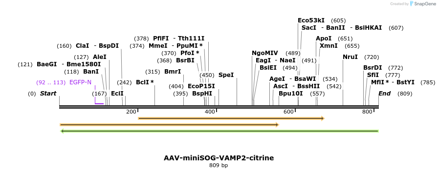 79134_map