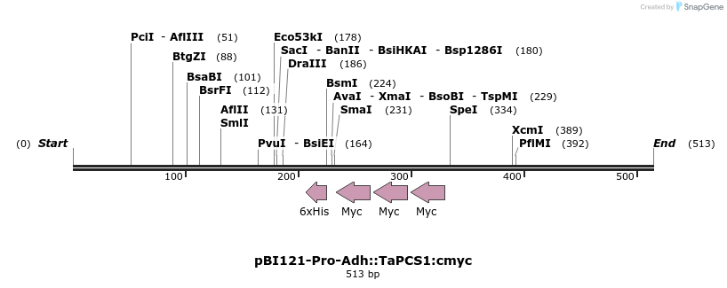 79136_map