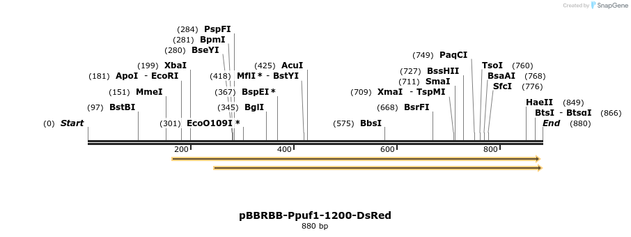 79137_map
