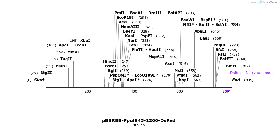 79139_map