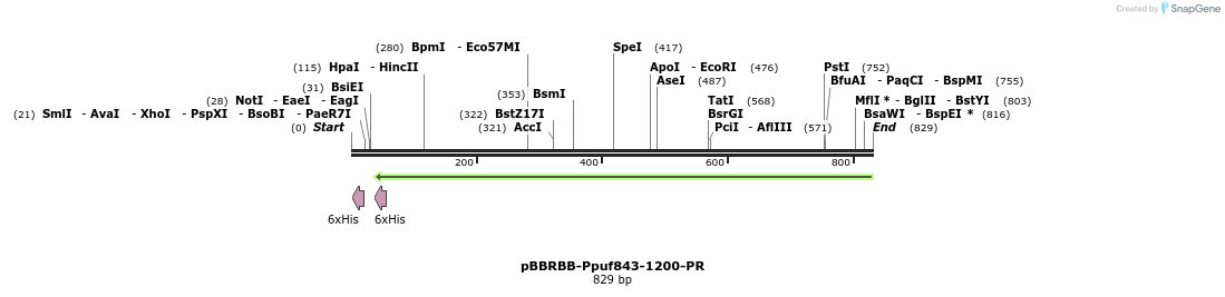 79142_map