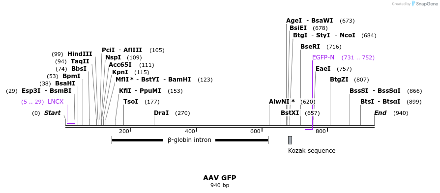79144_map