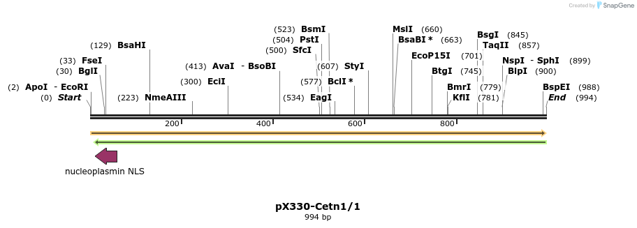 79146_map