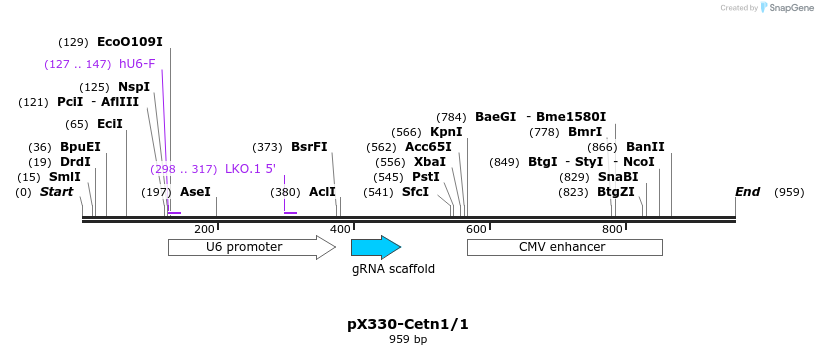 79147_map