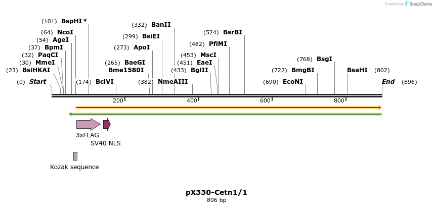 79148_map