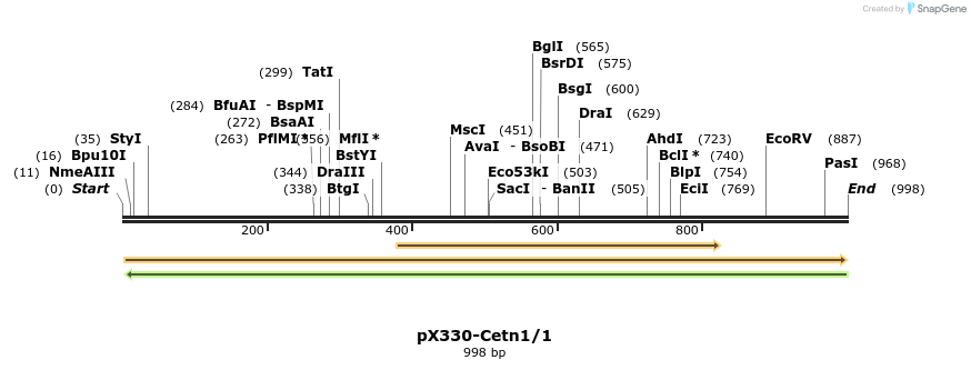 79150_map