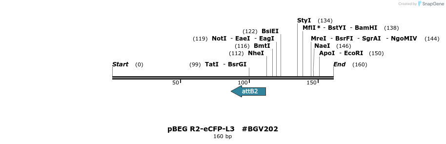 79154_map