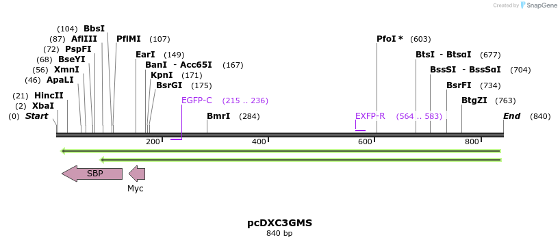 79158_map