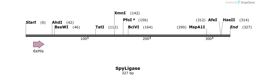 79160_map