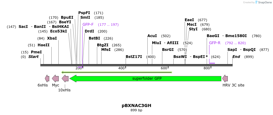 79161_map
