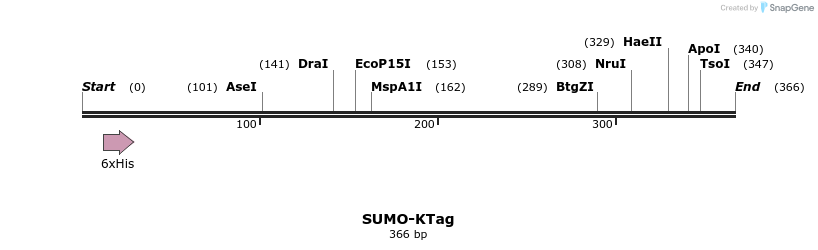 79162_map