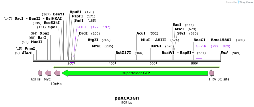 79164_map