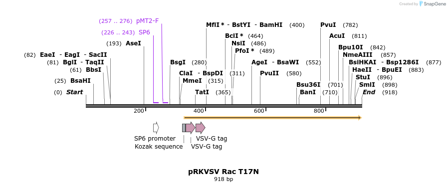 79166_map