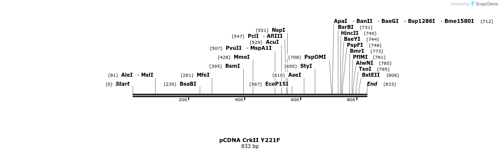 79169_map