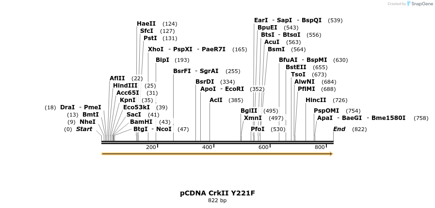 79172_map