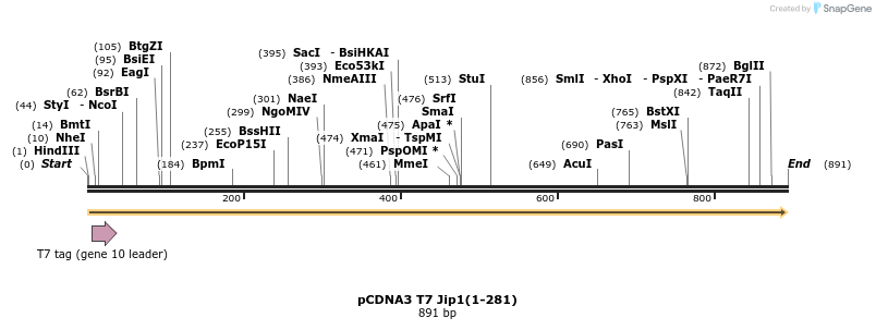 79174_map