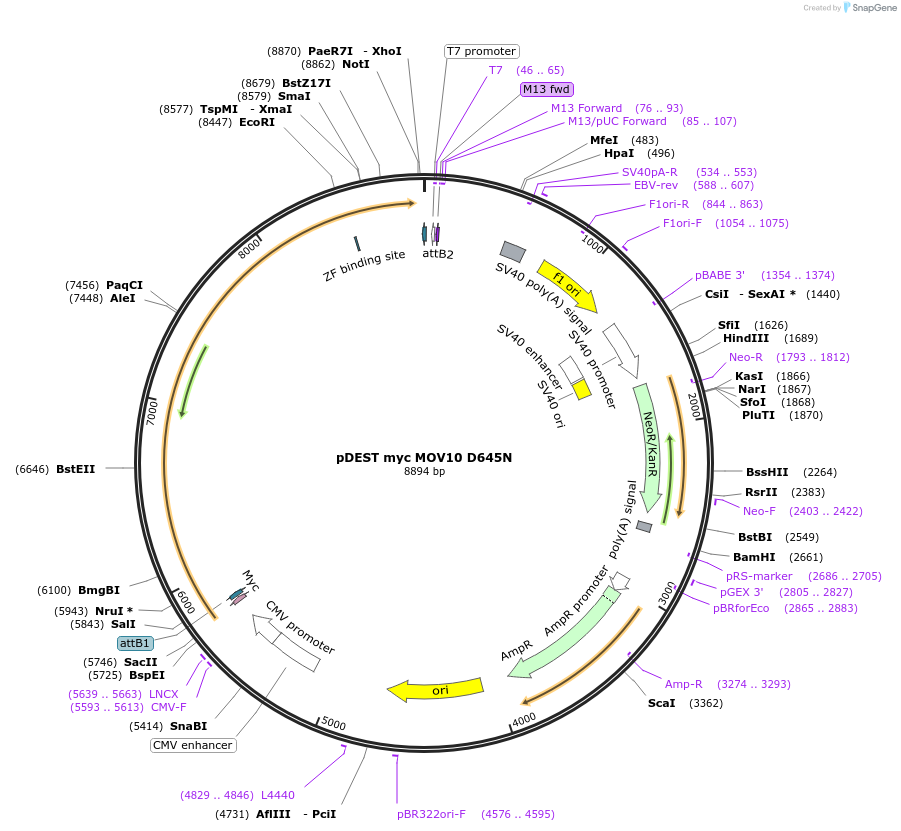 79179_map