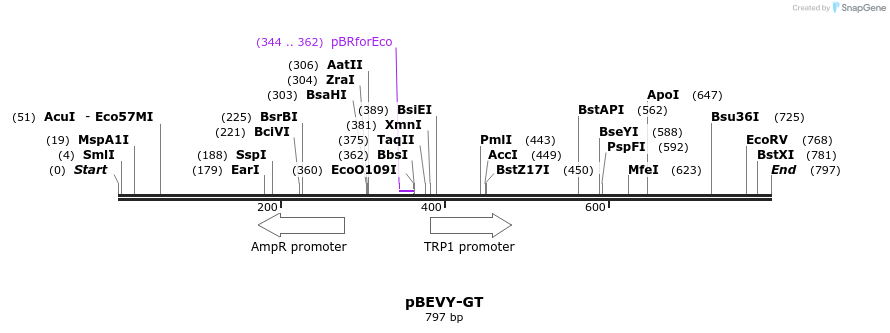 79186_map