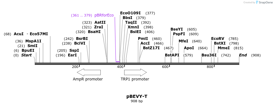 79188_map