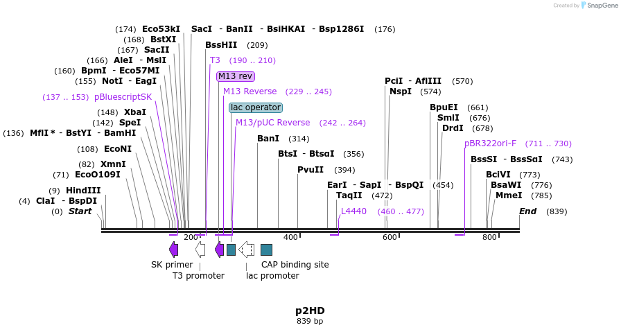 79190_map
