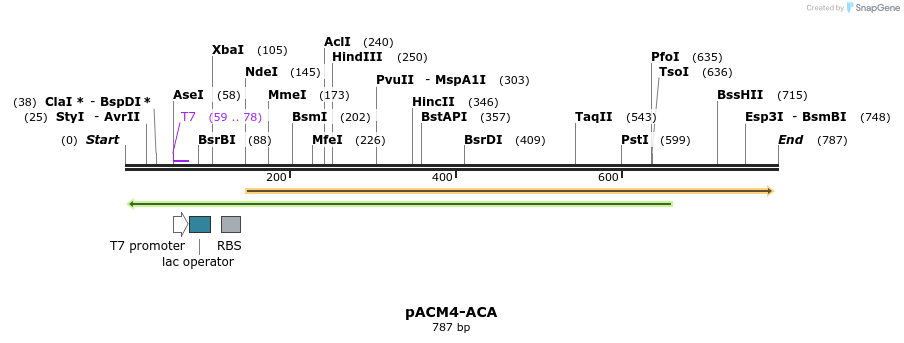 79193_map