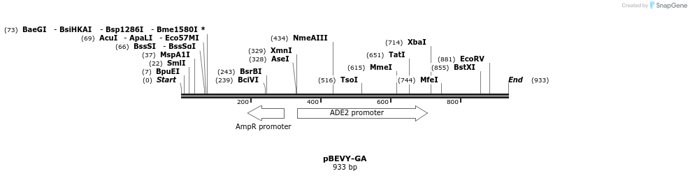 79195_map