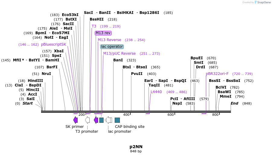 79197_map