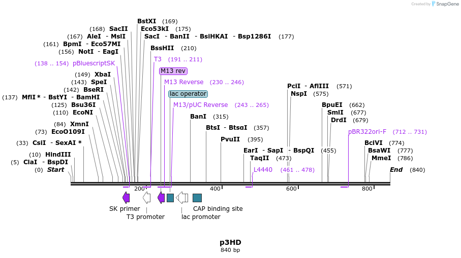 79198_map