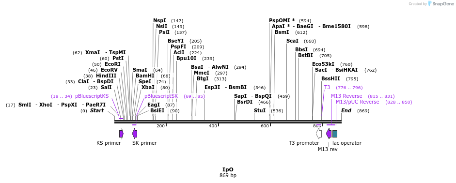 79199_map