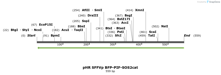 79202_map