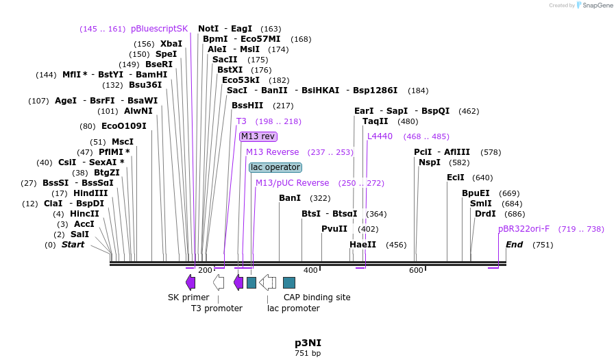 79203_map