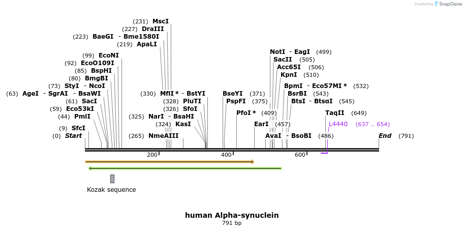 79204_map