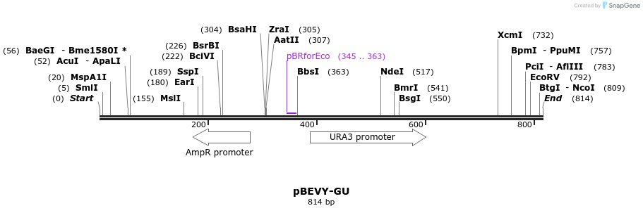 79205_map