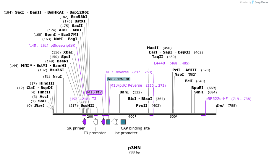 79206_map