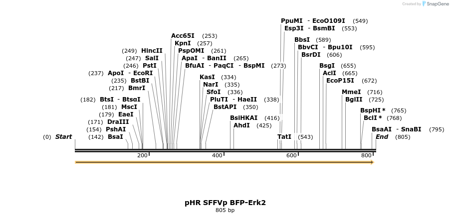 79207_map
