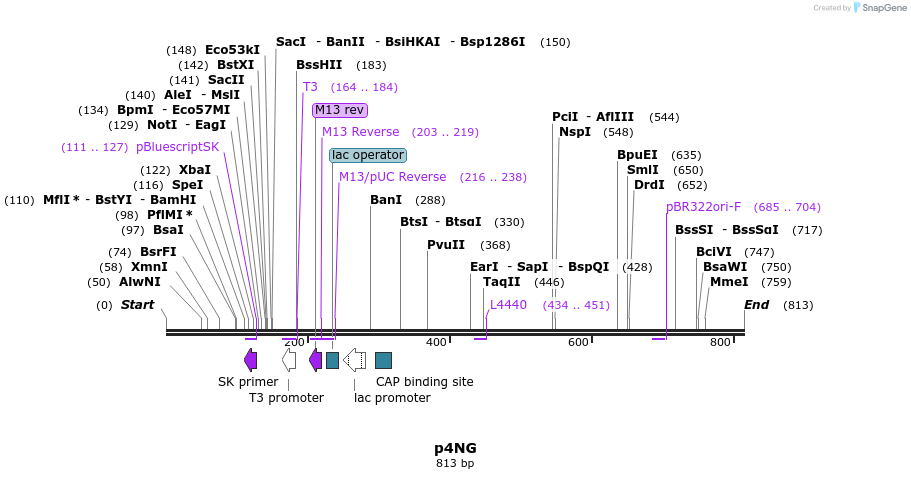 79209_map