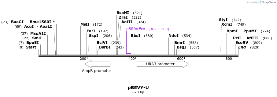 79210_map