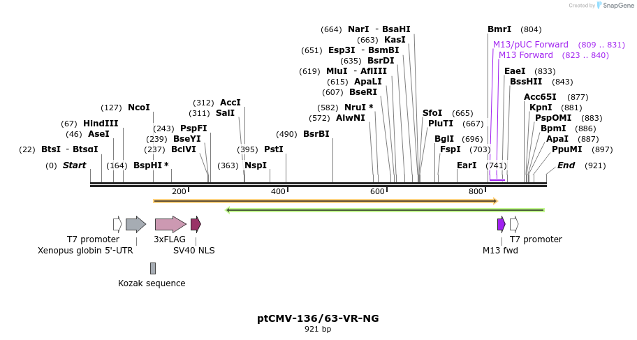 79216_map