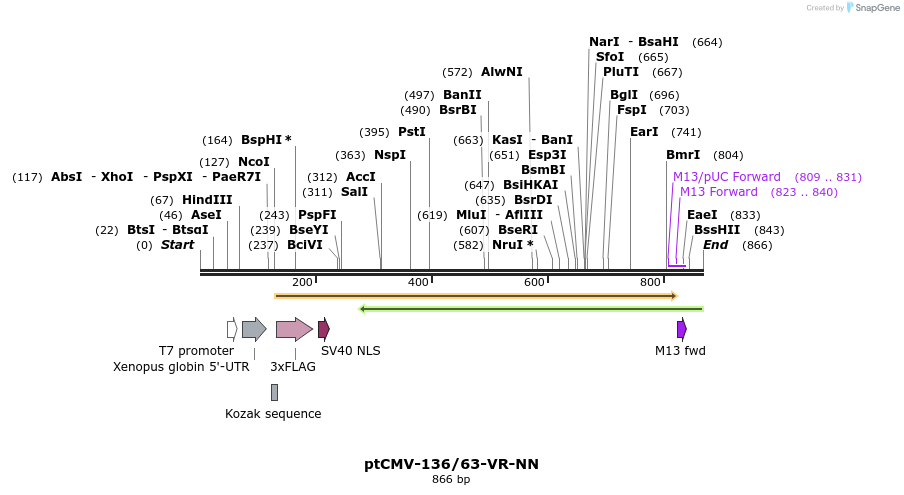 79220_map