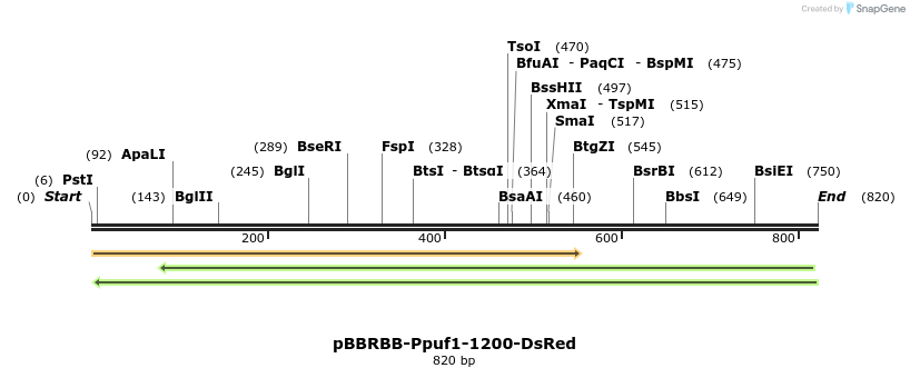 79221_map