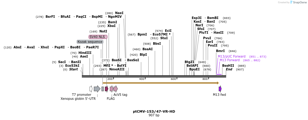 79222_map