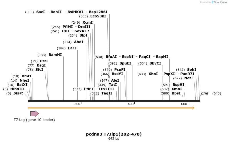 79224_map