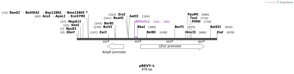 79225_map