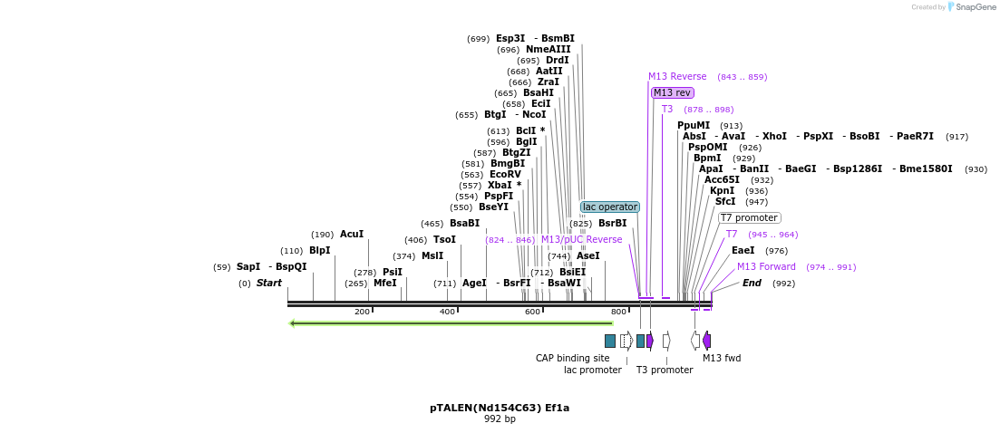 79232_map