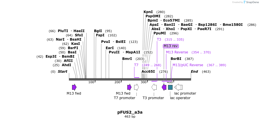 79239_map
