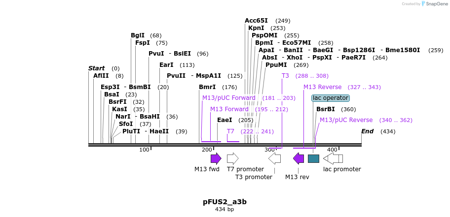 79241_map