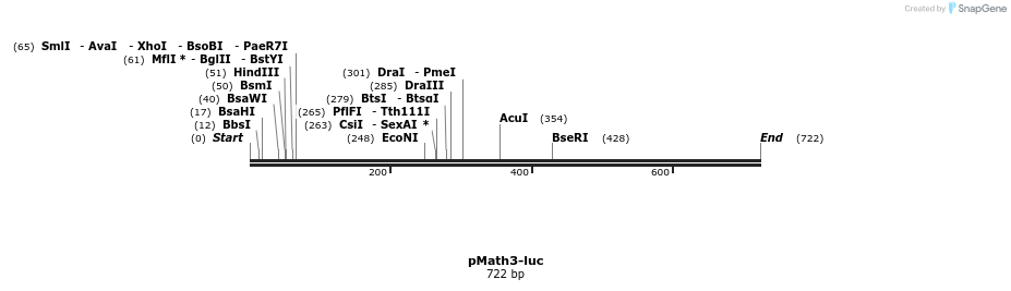 79242_map