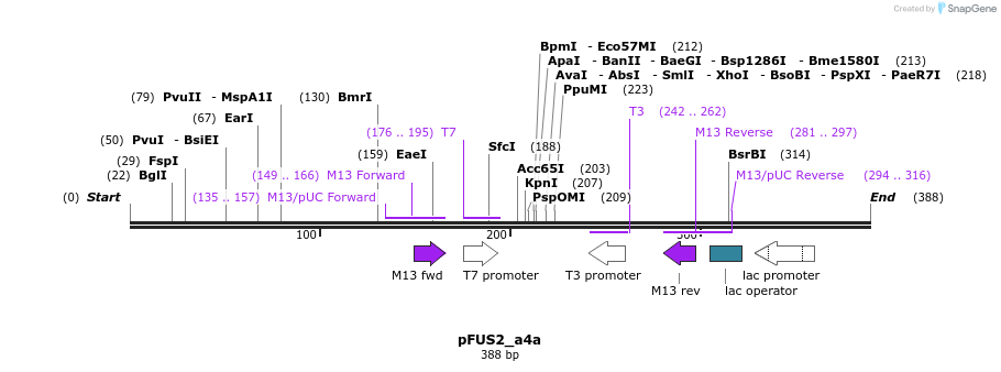 79243_map